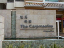The Carpmaelina (D15), Condominium #1154242